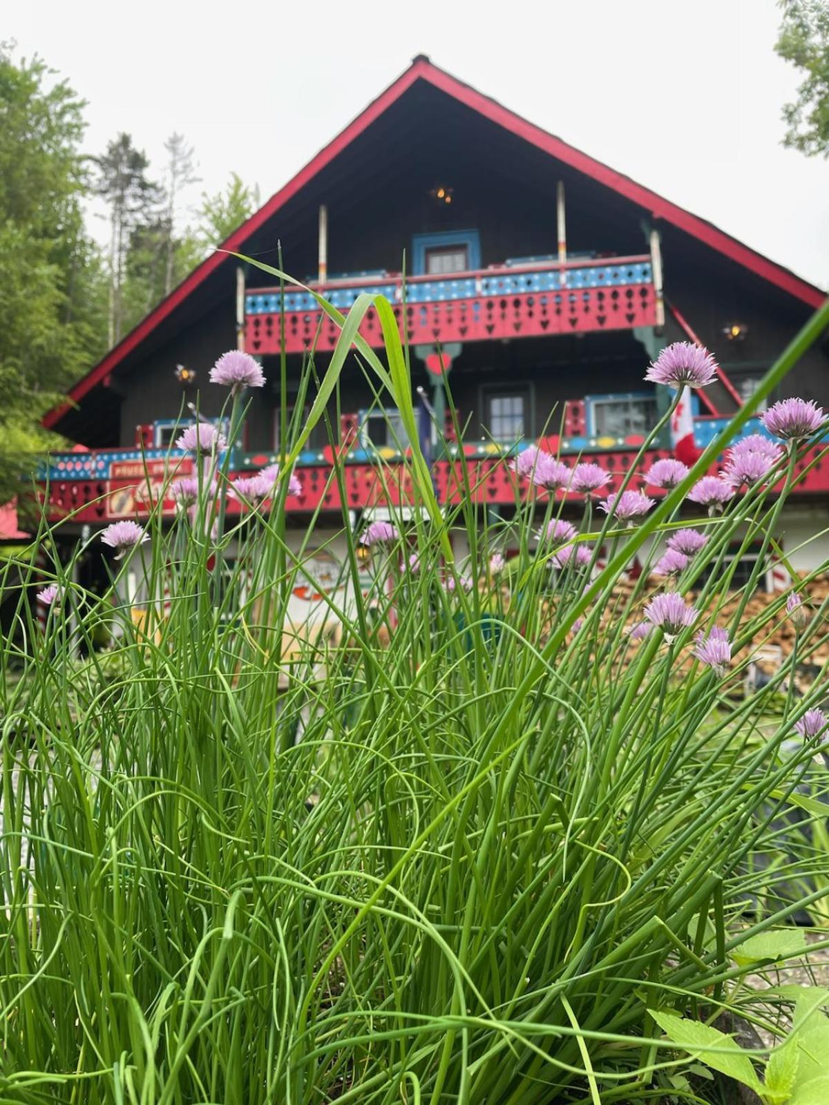 Grunberg Haus Inn & Cabins ウォーターベリー エクステリア 写真