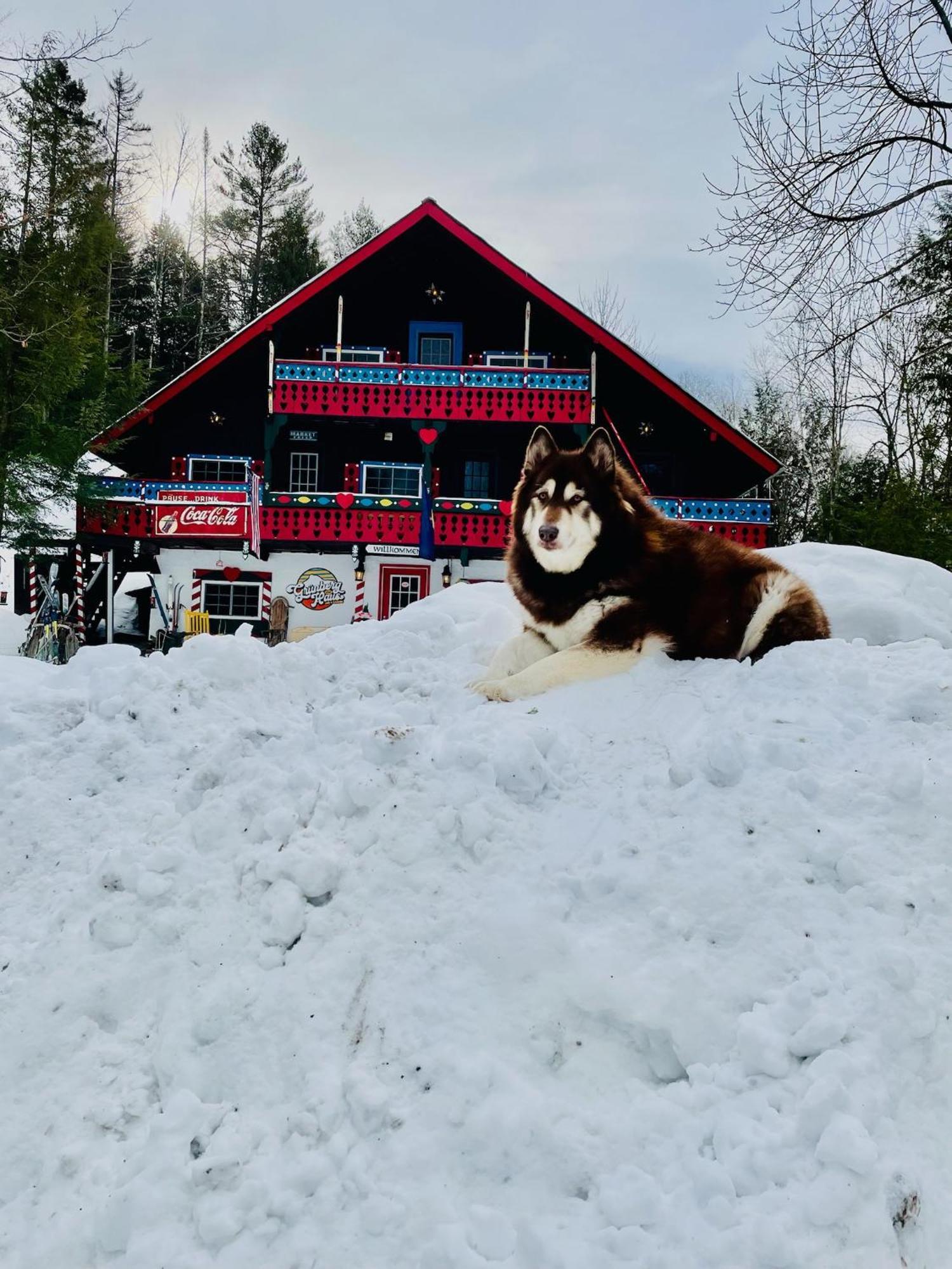 Grunberg Haus Inn & Cabins ウォーターベリー エクステリア 写真